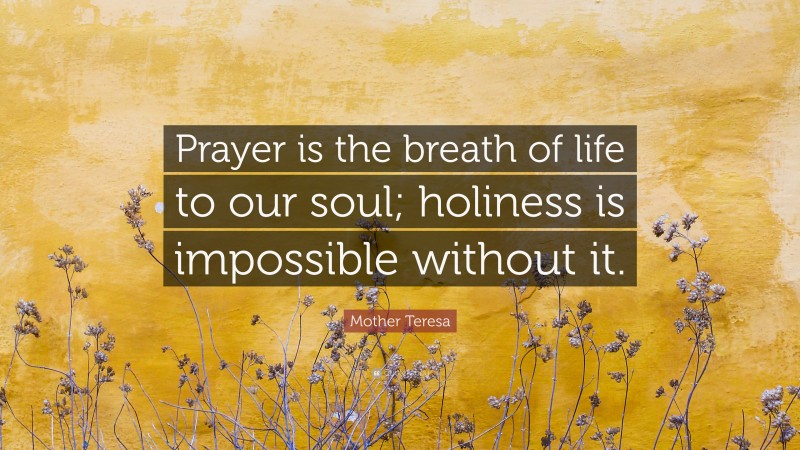 Mother Teresa Quote: “Prayer is the breath of life to our soul; holiness is impossible without it.”