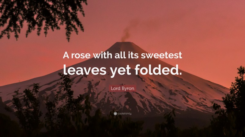 Lord Byron Quote: “A rose with all its sweetest leaves yet folded.”