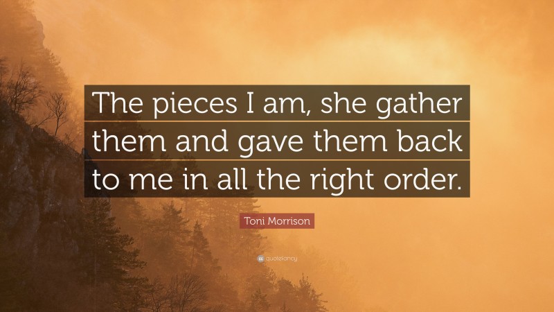 Toni Morrison Quote: “The pieces I am, she gather them and gave them back to me in all the right order.”