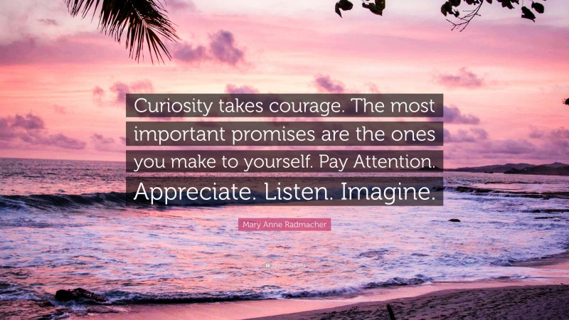 Mary Anne Radmacher Quote: “Curiosity takes courage. The most important promises are the ones you make to yourself. Pay Attention. Appreciate. Listen. Imagine.”