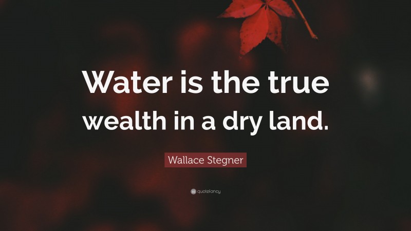 Wallace Stegner Quote: “Water is the true wealth in a dry land.”
