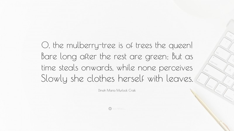 Dinah Maria Murlock Craik Quote: “O, the mulberry-tree is of trees the queen! Bare long after the rest are green; But as time steals onwards, while none perceives Slowly she clothes herself with leaves.”