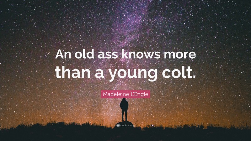 Madeleine L'Engle Quote: “An old ass knows more than a young colt.”