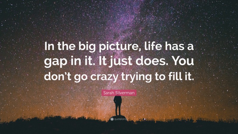 Sarah Silverman Quote: “In the big picture, life has a gap in it. It just does. You don’t go crazy trying to fill it.”
