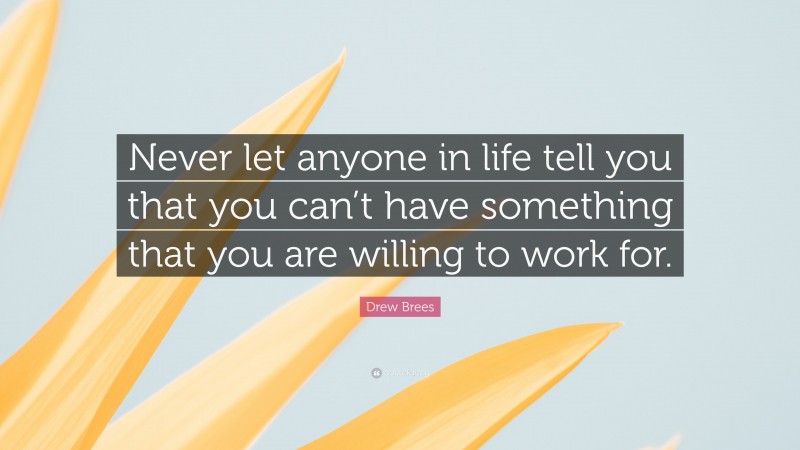 Drew Brees Quote: “Never let anyone in life tell you that you can’t have something that you are willing to work for.”