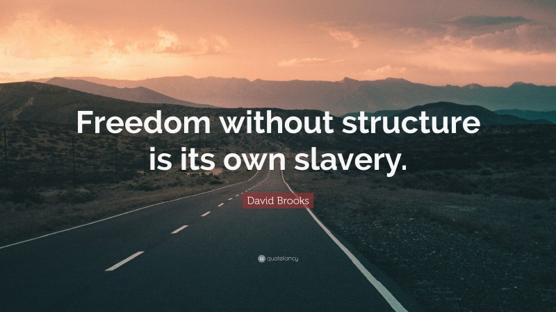 David Brooks Quote: “Freedom without structure is its own slavery.”