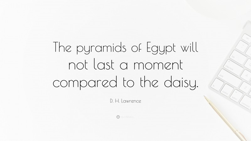 D. H. Lawrence Quote: “The pyramids of Egypt will not last a moment compared to the daisy.”