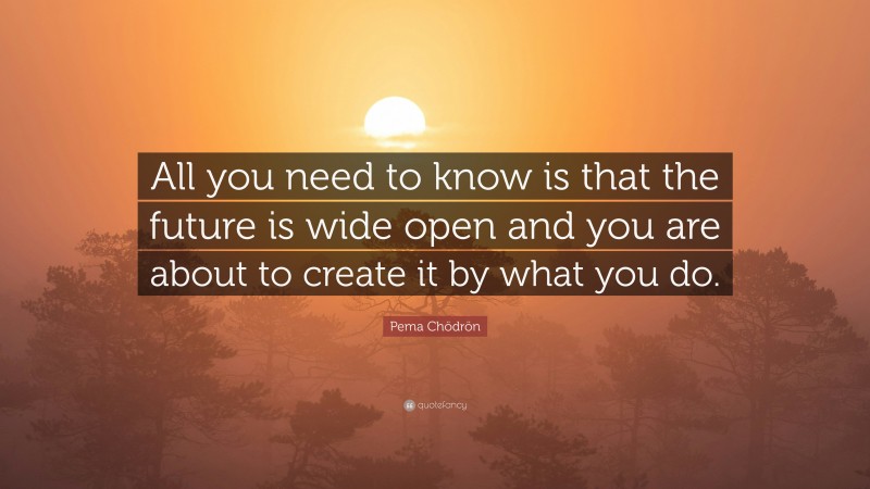 Pema Chödrön Quote: “All you need to know is that the future is wide open and you are about to create it by what you do.”