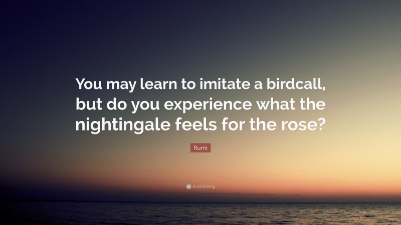 Rumi Quote: “You may learn to imitate a birdcall, but do you experience what the nightingale feels for the rose?”