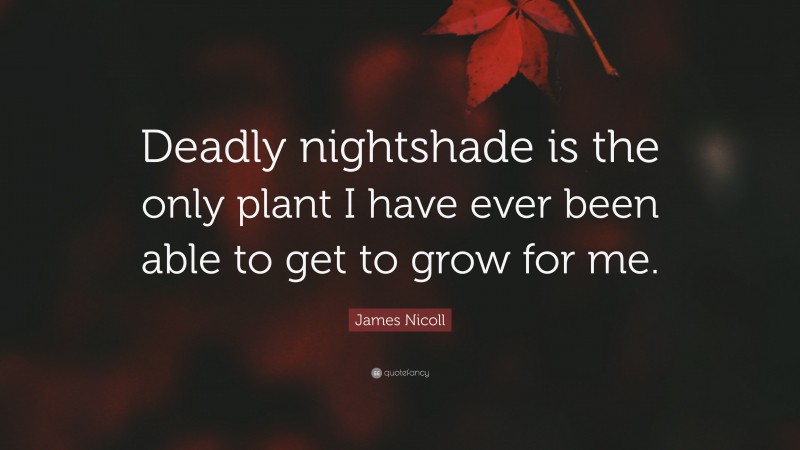 James Nicoll Quote: “Deadly nightshade is the only plant I have ever been able to get to grow for me.”