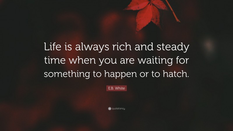 E.B. White Quote: “Life is always rich and steady time when you are waiting for something to happen or to hatch.”