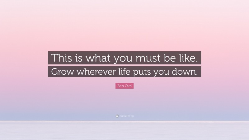 Ben Okri Quote: “This is what you must be like. Grow wherever life puts you down.”