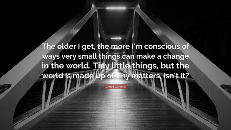 Sandra Cisneros Quote: “The older I get, the more I’m conscious of ways very small things can make a change in the world. Tiny little things, but the world is made up of tiny matters, isn’t it?”