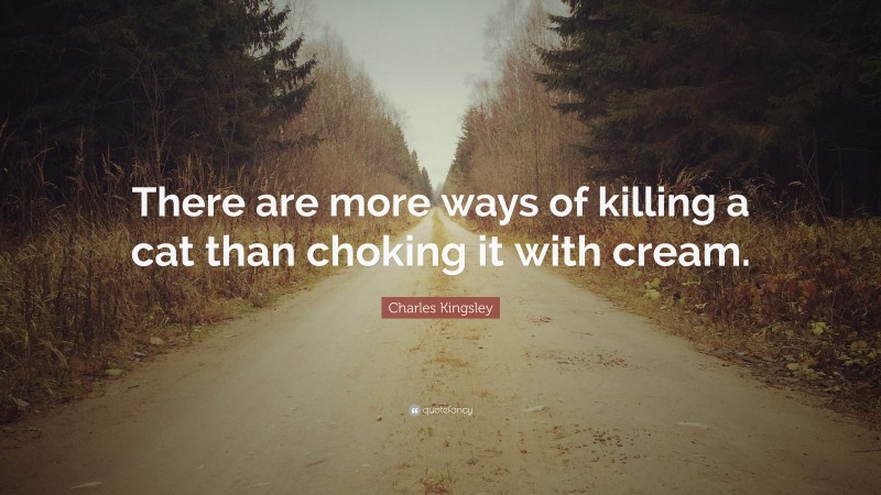 Charles Kingsley Quote: “There are more ways of killing a cat than choking it with cream.”