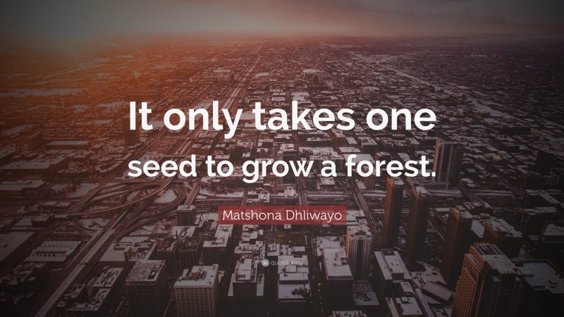 Matshona Dhliwayo Quote: “It only takes one seed to grow a forest.”