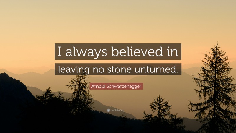 Arnold Schwarzenegger Quote: “I always believed in leaving no stone unturned. ”