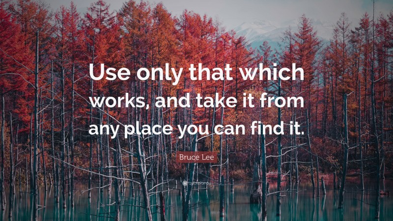 Bruce Lee Quote: “Use only that which works, and take it from any place you can find it.”