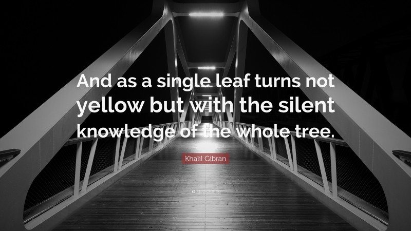 Khalil Gibran Quote: “And as a single leaf turns not yellow but with the silent knowledge of the whole tree.”