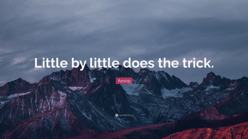 Aesop Quote: “Little by little does the trick.”