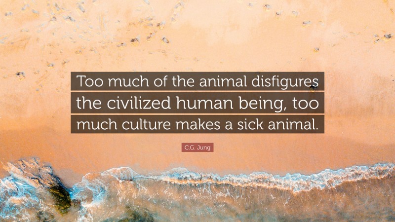 C.G. Jung Quote: “Too much of the animal disfigures the civilized human being, too much culture makes a sick animal.”