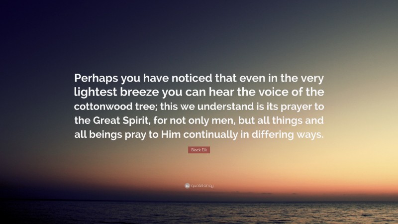 Black Elk Quote: “Perhaps you have noticed that even in the very lightest breeze you can hear the voice of the cottonwood tree; this we understand is its prayer to the Great Spirit, for not only men, but all things and all beings pray to Him continually in differing ways.”