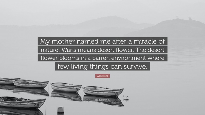 Waris Dirie Quote: “My mother named me after a miracle of nature: Waris means desert flower. The desert flower blooms in a barren environment where few living things can survive.”