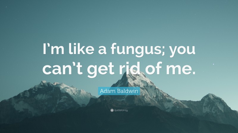 Adam Baldwin Quote: “I’m like a fungus; you can’t get rid of me.”