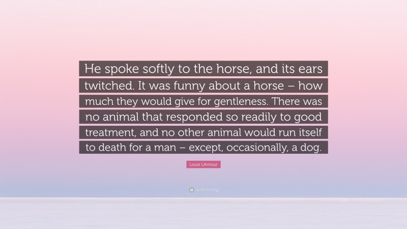Louis L'Amour Quote: “He spoke softly to the horse, and its ears twitched. It was funny about a horse – how much they would give for gentleness. There was no animal that responded so readily to good treatment, and no other animal would run itself to death for a man – except, occasionally, a dog.”