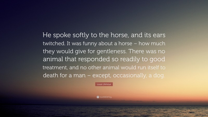 Louis L'Amour Quote: “He spoke softly to the horse, and its ears twitched. It was funny about a horse – how much they would give for gentleness. There was no animal that responded so readily to good treatment, and no other animal would run itself to death for a man – except, occasionally, a dog.”
