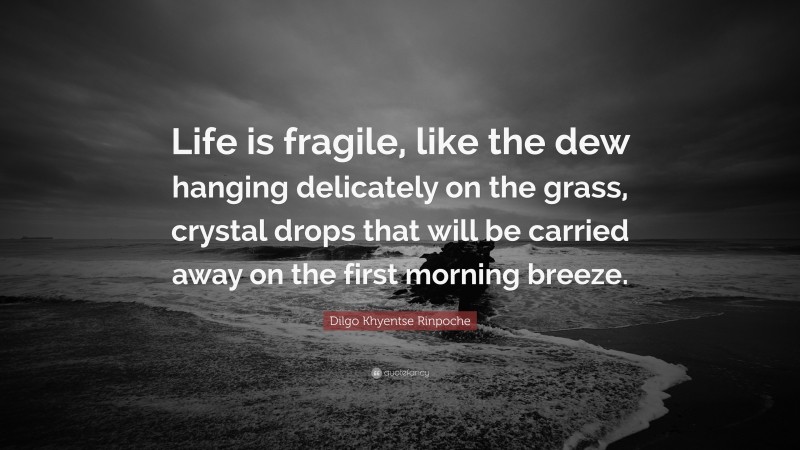 Dilgo Khyentse Rinpoche Quote: “Life is fragile, like the dew hanging delicately on the grass, crystal drops that will be carried away on the first morning breeze.”