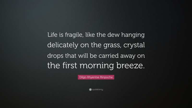 Dilgo Khyentse Rinpoche Quote: “Life is fragile, like the dew hanging delicately on the grass, crystal drops that will be carried away on the first morning breeze.”
