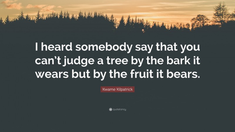 Kwame Kilpatrick Quote: “I heard somebody say that you can’t judge a tree by the bark it wears but by the fruit it bears.”