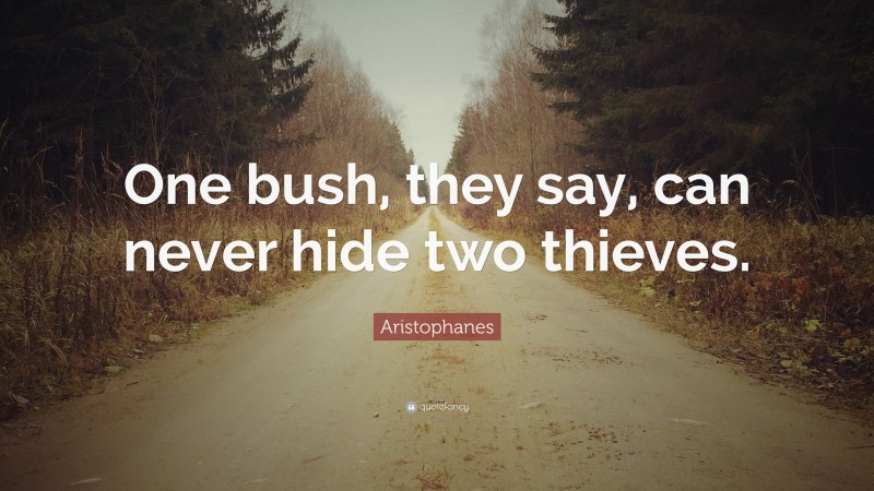 Aristophanes Quote: “One bush, they say, can never hide two thieves.”
