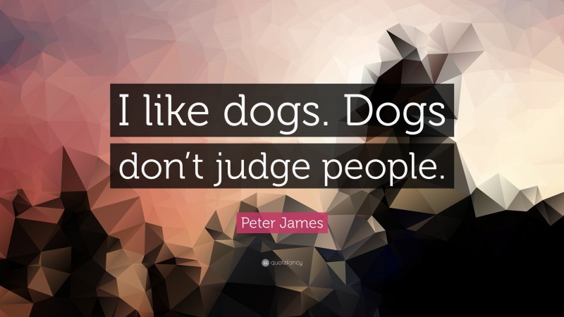 Peter James Quote: “I like dogs. Dogs don’t judge people.”