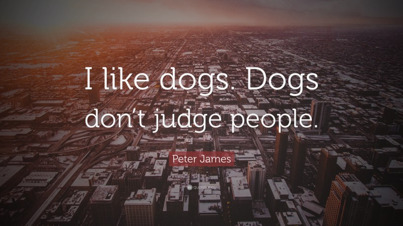 Peter James Quote: “I like dogs. Dogs don’t judge people.”