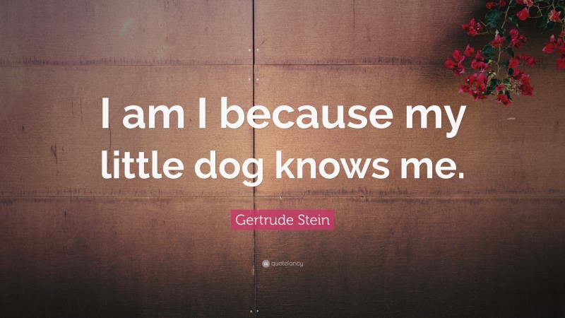 Gertrude Stein Quote: “I am I because my little dog knows me.”