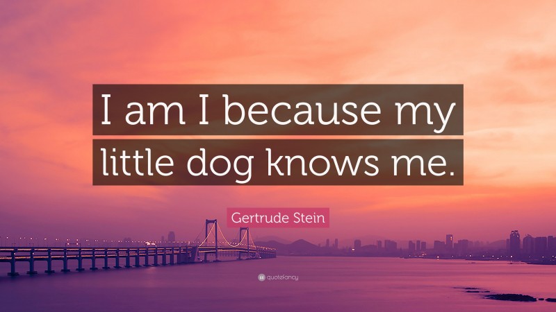 Gertrude Stein Quote: “I am I because my little dog knows me.”