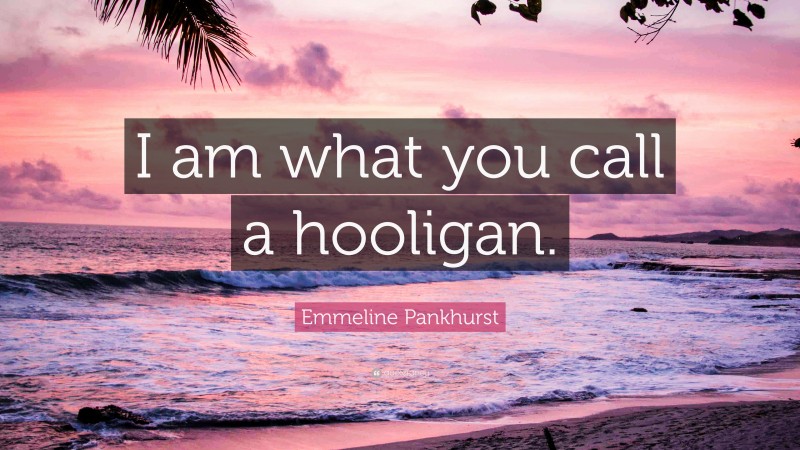 Emmeline Pankhurst Quote: “I am what you call a hooligan.”