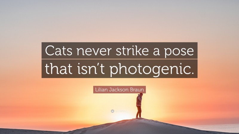 Lilian Jackson Braun Quote: “Cats never strike a pose that isn’t photogenic.”