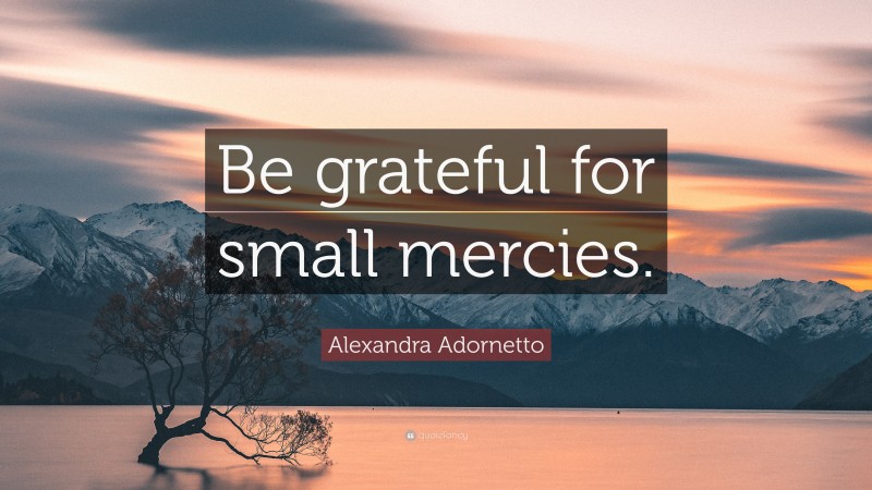Alexandra Adornetto Quote: “Be grateful for small mercies.”