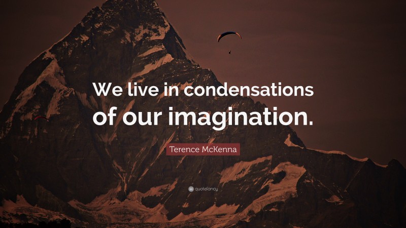 Terence McKenna Quote: “We live in condensations of our imagination.”