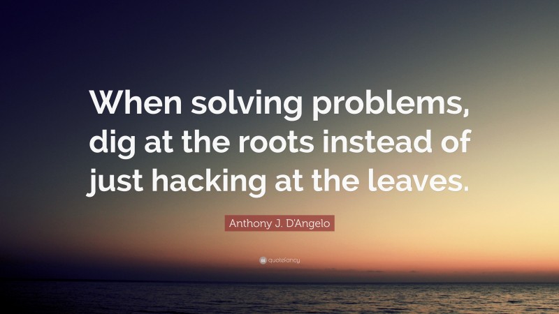Anthony J. D'Angelo Quote: “When solving problems, dig at the roots instead of just hacking at the leaves.”
