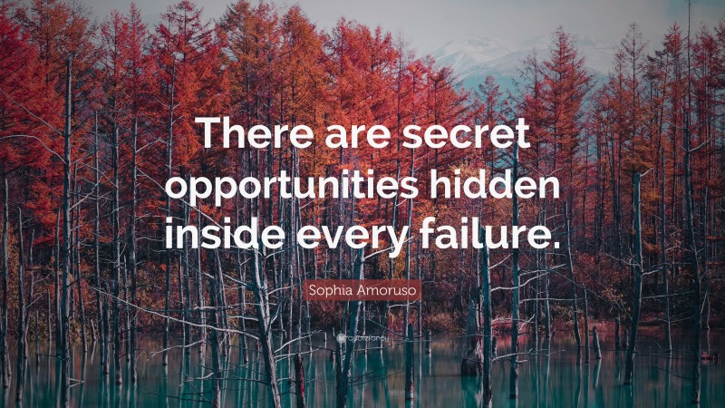 Sophia Amoruso Quote: “There are secret opportunities hidden inside every failure.”