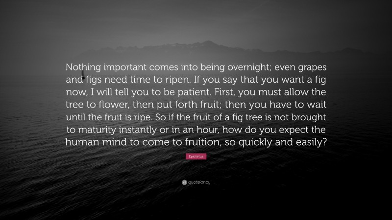 Epictetus Quote: “Nothing important comes into being overnight; even grapes and figs need time to ripen. If you say that you want a fig now, I will tell you to be patient. First, you must allow the tree to flower, then put forth fruit; then you have to wait until the fruit is ripe. So if the fruit of a fig tree is not brought to maturity instantly or in an hour, how do you expect the human mind to come to fruition, so quickly and easily?”