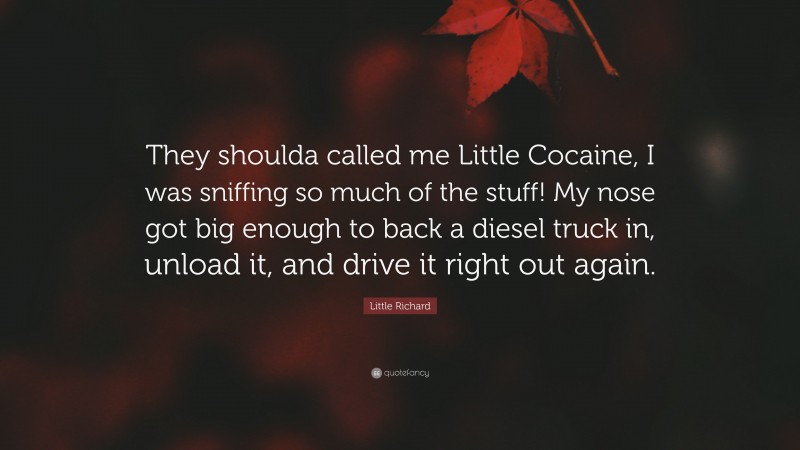 Little Richard Quote: “They shoulda called me Little Cocaine, I was sniffing so much of the stuff! My nose got big enough to back a diesel truck in, unload it, and drive it right out again.”