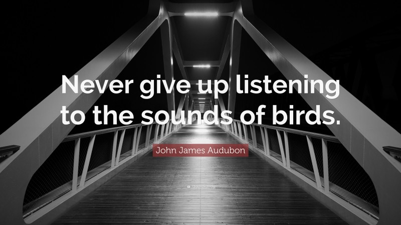 John James Audubon Quote: “Never give up listening to the sounds of birds.”