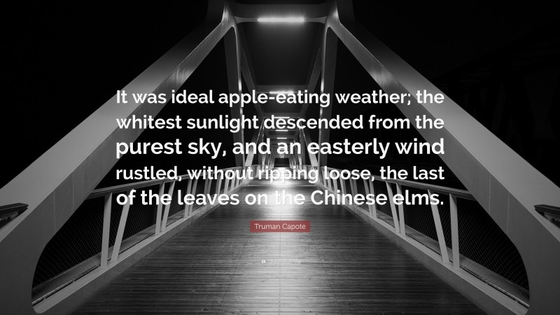Truman Capote Quote: “It was ideal apple-eating weather; the whitest sunlight descended from the purest sky, and an easterly wind rustled, without ripping loose, the last of the leaves on the Chinese elms.”