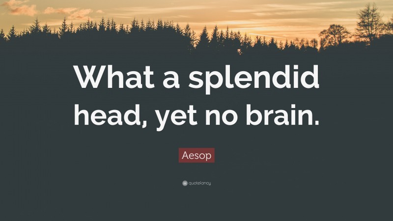 Aesop Quote: “What a splendid head, yet no brain.”