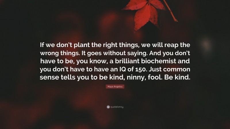 Maya Angelou Quote: “If we don’t plant the right things, we will reap the wrong things. It goes without saying. And you don’t have to be, you know, a brilliant biochemist and you don’t have to have an IQ of 150. Just common sense tells you to be kind, ninny, fool. Be kind.”