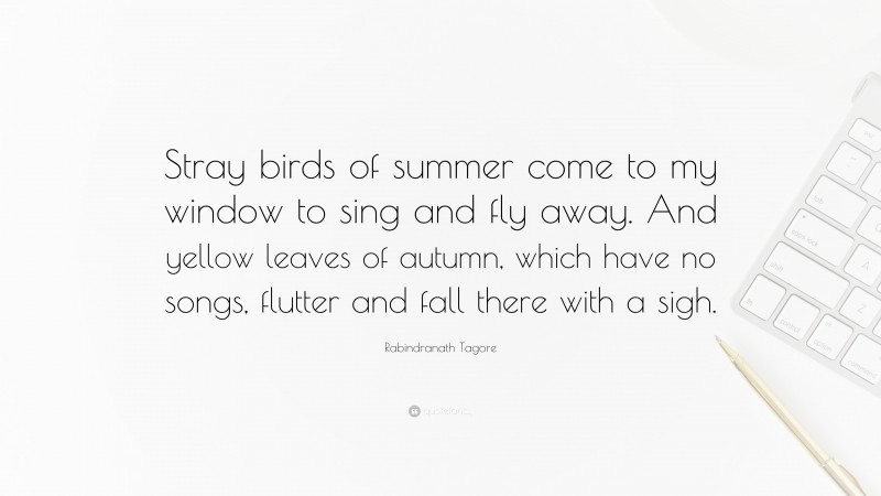 Rabindranath Tagore Quote: “Stray birds of summer come to my window to sing and fly away. And yellow leaves of autumn, which have no songs, flutter and fall there with a sigh.”